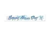 The Party People Shop Banner - Naming Day Blue offer