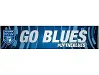 Banner - State of Origin, New South Wales