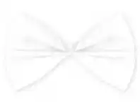 The Party People Shop Bow Tie - White offer