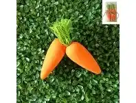 The Party People Shop Decoration - Easter Bunny Carrots 2 pk offer