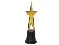 Award/Trophy - Gold Star