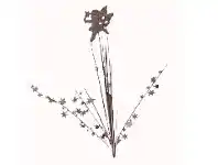 The Party People Shop Decorative Pick - Pink Fairy offer