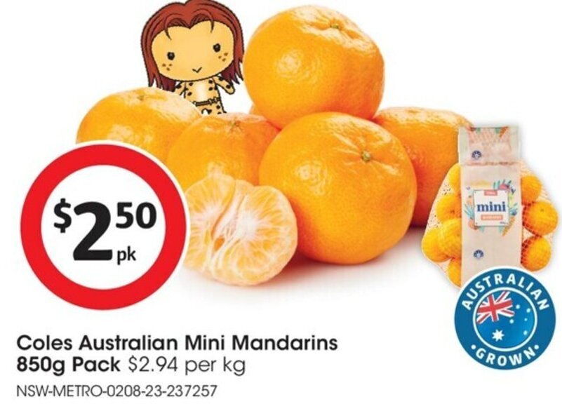 Coles Australian Mini Mandarins 850g Pack offer at Coles