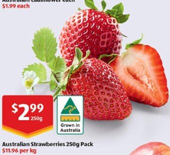 ALDI Australian Strawberries 250g Pack offer