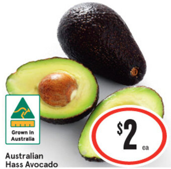 IGA Australian Hass Avocado offer