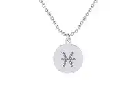 Pisces Zodiac Necklace in Stainless Steel