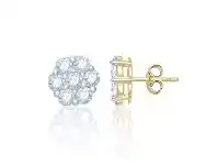 Bevilles Jewellery 9ct Yellow Gold 2.00ct Diamond Flower Earrings offer
