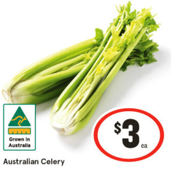 IGA Australian Celery offer