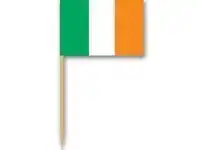 The Party People Shop Cocktail Picks - Irish Flag 50 pk offer
