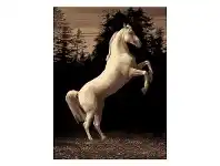 LivingStyles Legacy Horse Modern Rug/Wall Art, 120x170cm offer