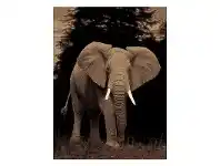 LivingStyles Legacy Elephant Modern Rug/Wall Art, 160x230cm offer