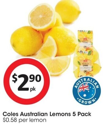 Coles Australian Lemons 5 Pack
