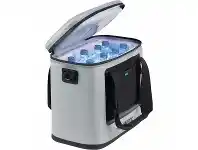 BCF Dometic Cib 26 Cool Ice Insulated Cooler Bag offer