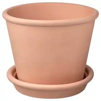 Muskotblomma plant pot with saucer, in/outdoor terracotta, 24 cm
