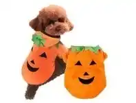 The Party People Shop Pet Costume - Pumpkin offer