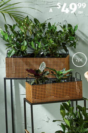 ALDI Rectangular Planter Set 2pc offer