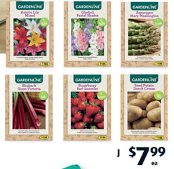 Packet Bulbs offer at ALDI