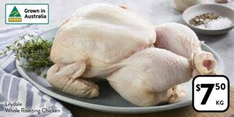 Lilydale Whole Roasting Chicken