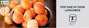 Foodworks Honey Murcott Mandarins offer