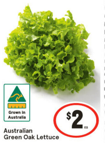 IGA Australian Green Oak Lettuce offer