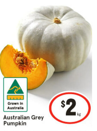 Australian Grey Pumpkin
