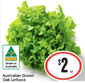 IGA Australian Green Oak Lettuce offer