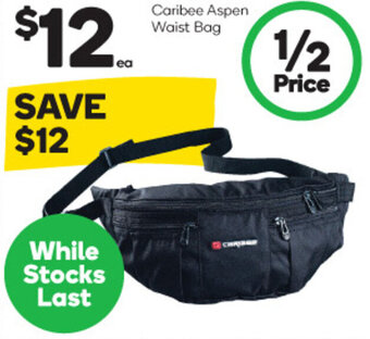 Caribee Aspen Waist Bag