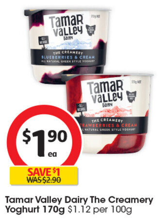 Coles Tamar Valley Dairy The Creamery Yoghurt 170g offer