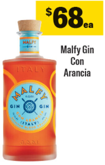 Malfy Gin Con Arancia