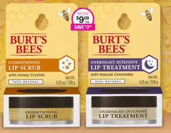 Burt's Bees Lip Scrub and Lip Treatment