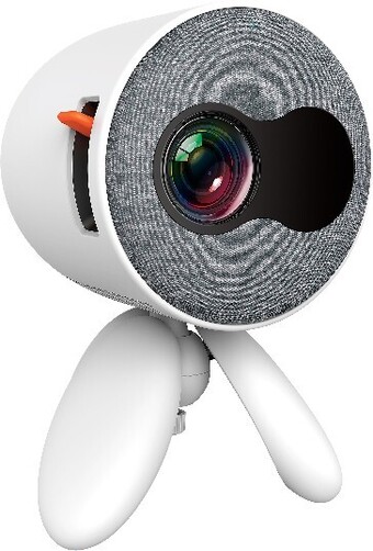Portable hd led projector with screen