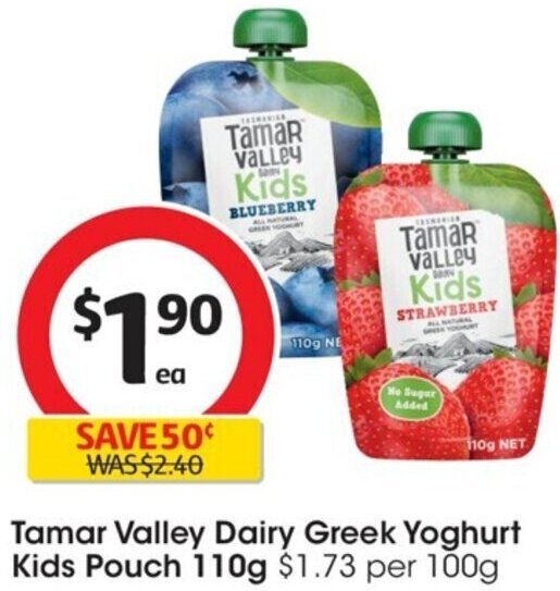 Tamar Valley Dairy Greek Yoghurt Kids Pouch 110g offer at Coles