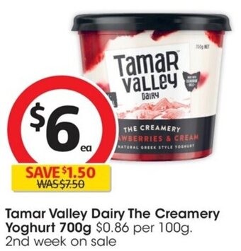 Coles Tamar Valley Dairy The Creamery Yoghurt 700g offer