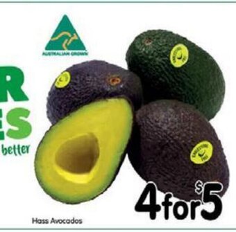 Hass Avocados