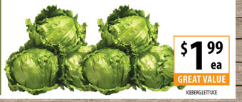 Iceberg Lettuce