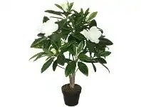 LivingStyles Potted Artificial Magnolia, 90cm offer