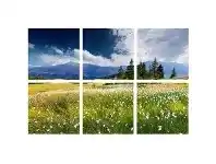 Scapeview 6 Piece Stretched Canvas Wall Art Set, Swiss Alps in Summer