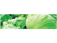 Foodworks Crisp Iceberg Lettuce offer