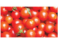 Foodworks Cherry Tomatoes 250g offer