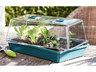 ALDI Seed and Cutting Greenhouse offer