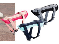 ALDI Dog Harness offer