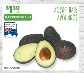 Foodland Hass Avocados offer