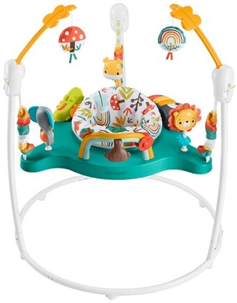 BIG W Fisher-price whimsical forest jumperoo offer