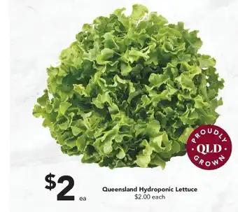 Drakes Queensland Hydroponic Lettuce offer