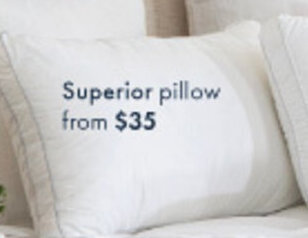 Pillow Talk Superior pillow offer