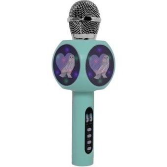 BIG W Harry potter bluetooth karaoke microphone offer