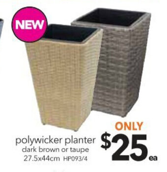 Cheap as Chips Polywicker Planter 27.5x44cm offer
