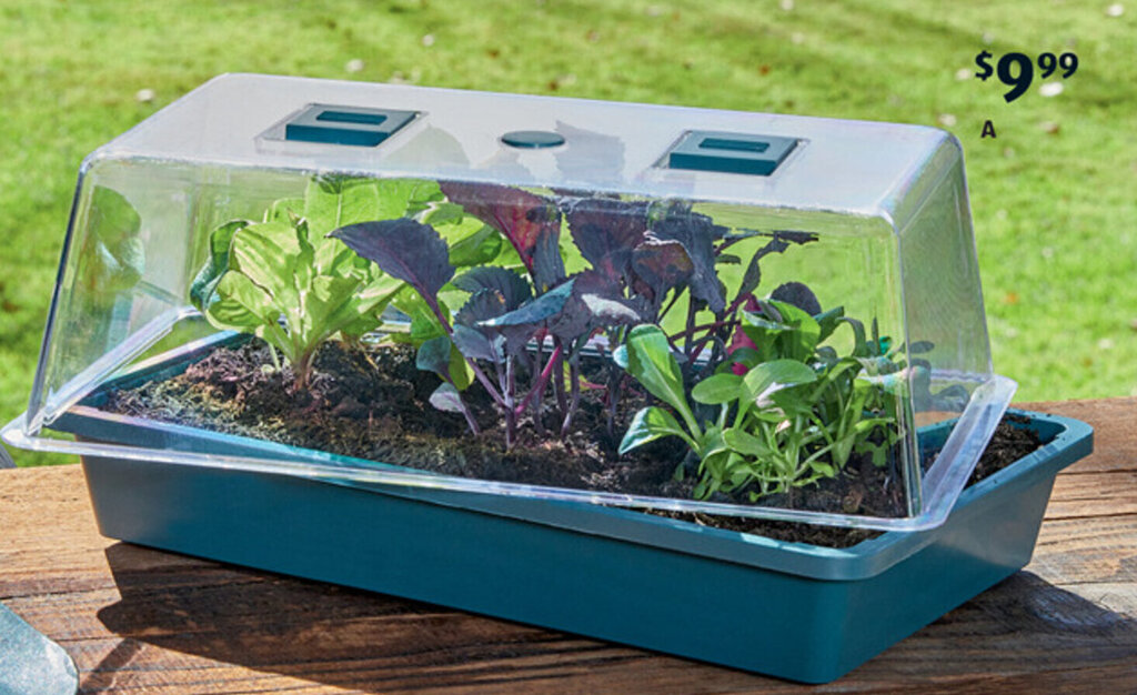 A Seed and Cutting Greenhouse offer at ALDI