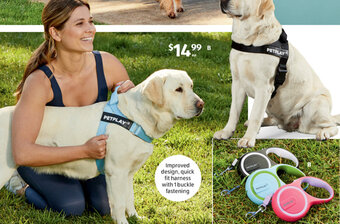 ALDI B Medium or Large Dog Harness or Retractable Lead offer