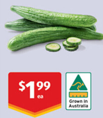 ALDI Australian Continental Cucumbers offer